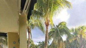 Un balcón con vistas a una zona ajardinada con palmeras y una piscina.