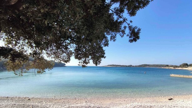 A beach with clear water, a sandy shore, and a tree providing shade.