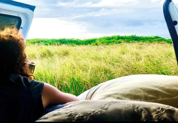 Unclassified image, 1 of 25, button