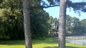 Un parque con dos árboles destacados, una zona verde y una cancha deportiva cercada.