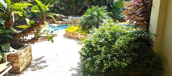 Adorable 1-bedroom-apartment 2 km From Eagle Beach