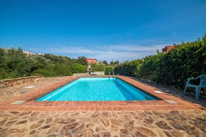 A rectangular swimming pool with a stone border, surrounded by greenery and a clear blue sky.