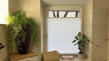 Shower, hair dryer, towels