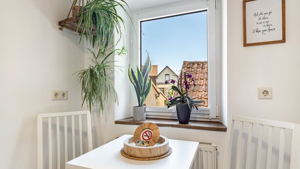Habitación de esquina con una mesa blanca, una ventana con vistas a edificios, una planta colgante y una pared con una cita enmarcada.
