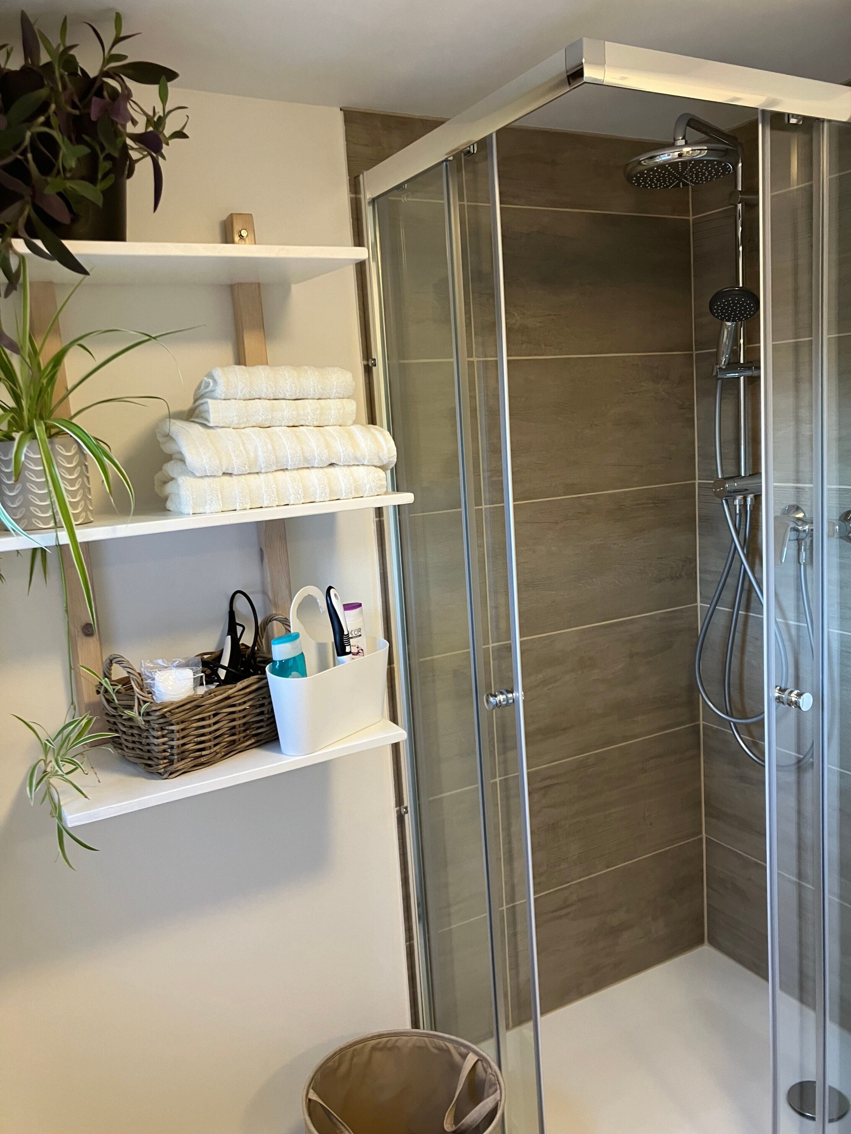 Dusche, Haartrockner, Handtücher