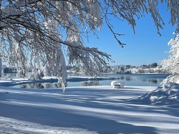 A snow-covered landscape with a lake, trees, and a bench.