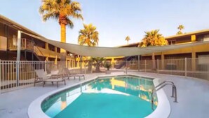 Una piscina con tumbonas y palmeras.