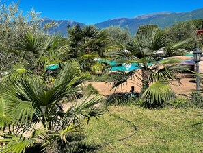 Un jardin avec des palmiers et une vue sur les montagnes en arrière-plan.