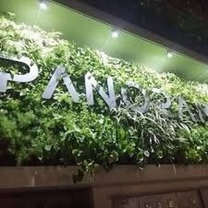A wall with the word "PANDORA" in large letters, surrounded by greenery.