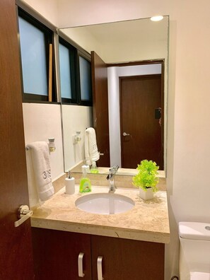 Un bagno con lavandino, specchio, portasci e una pianta in vaso.