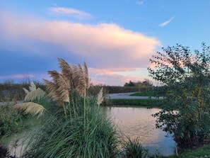 Property grounds - Lindum Barn, Ashlin Farm Barns (Lincoln)