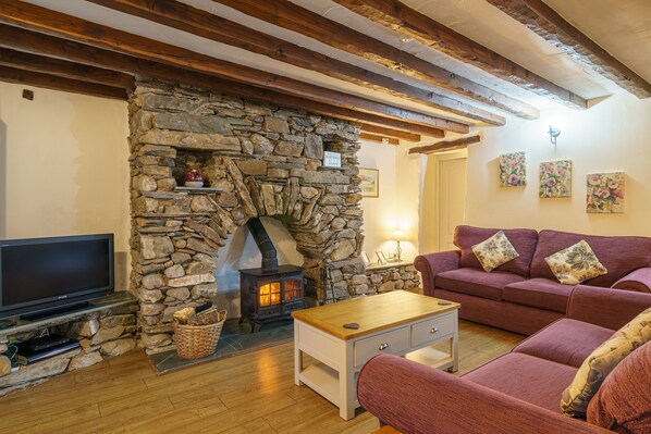 TV, fireplace, books