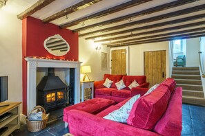 TV, fireplace, DVD player, books - Riverside Cottage  - Duddon Valley (Dog-friendly) (Seathwaite)