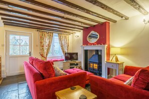 TV, fireplace, DVD player, books