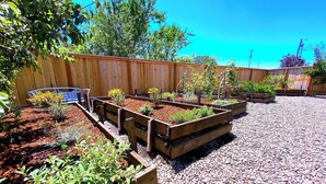 A garden with raised beds and a wooden fence.