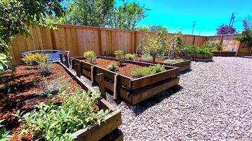 Overnatningsstedets område