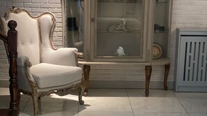 A room with a white brick wall, a large ornate cabinet with glass doors, a cushioned chair, and a radiator. - Park Otel (Düzce)