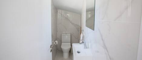A modern bathroom with a toilet, sink, and mirror.