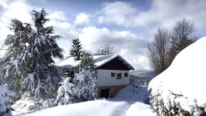 Una casa rodeada de árboles cubiertos de nieve y un cielo despejado.