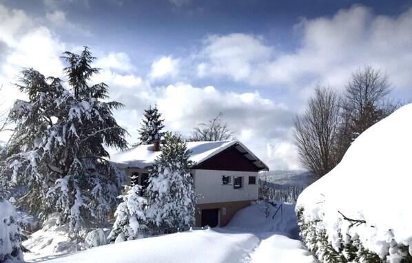 Ein Haus, umgeben von schneebedeckten Bäumen und einem klaren Himmel.