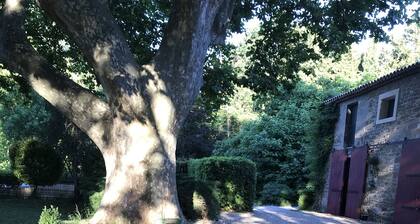 Beautiful Provencal mas 18/20 people ideal for large family or group of friends