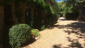 A courtyard with a gravel path, a building with ivy, and a tree providing shade.