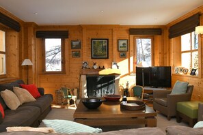 电视、壁炉、DVD 播放器