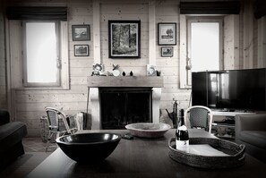 电视、壁炉、DVD 播放器