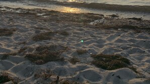 Ein Strand mit Sand und Seegras, ein ruhiges Meer und ein Sonnenuntergang in der Ferne.