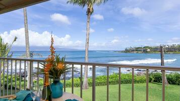 Studio | Property grounds