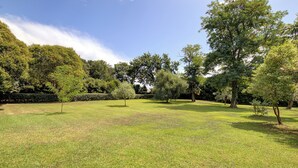 En græsbevokset park med træer og en klar himmel.