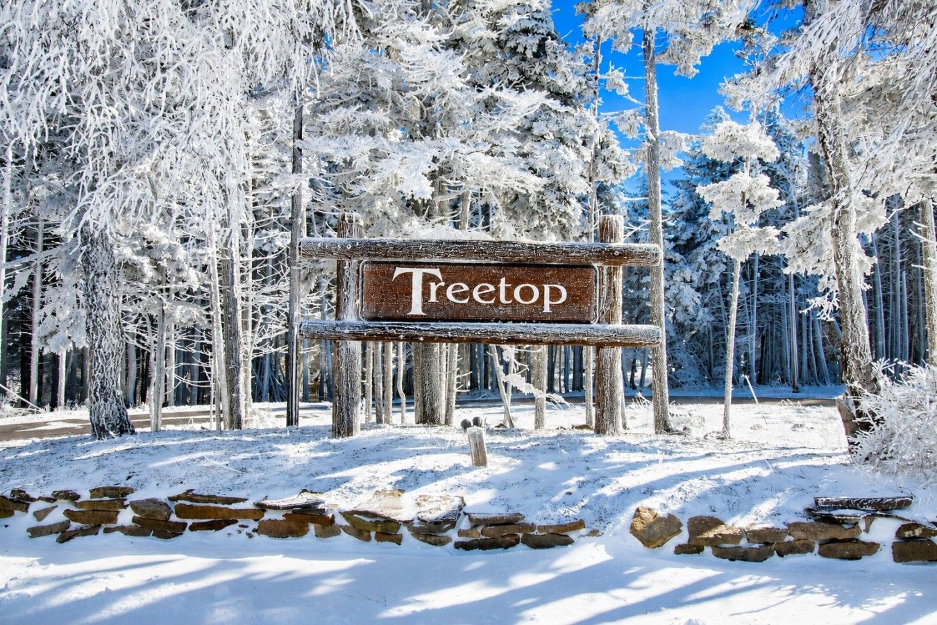A wooden sign with the word 'Teetop' in a forested area with snow-covered ground and trees.