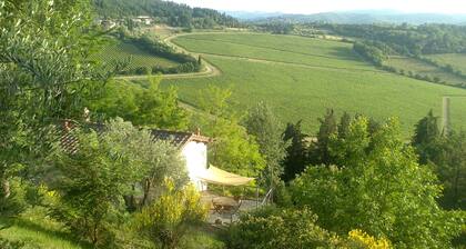 Vineyard cottage, 30 minutes to Florence