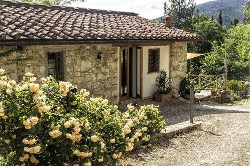 Vineyard cottage, 30 minutes to Florence