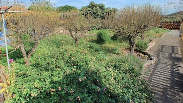 Área da propriedade