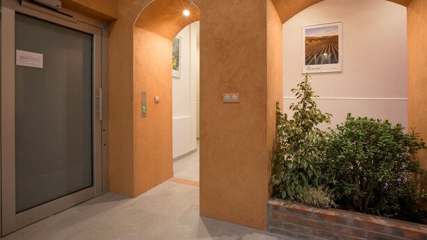 Un pasillo con puerta de cristal, maceta de ladrillo con plantas y un cuadro en la pared.