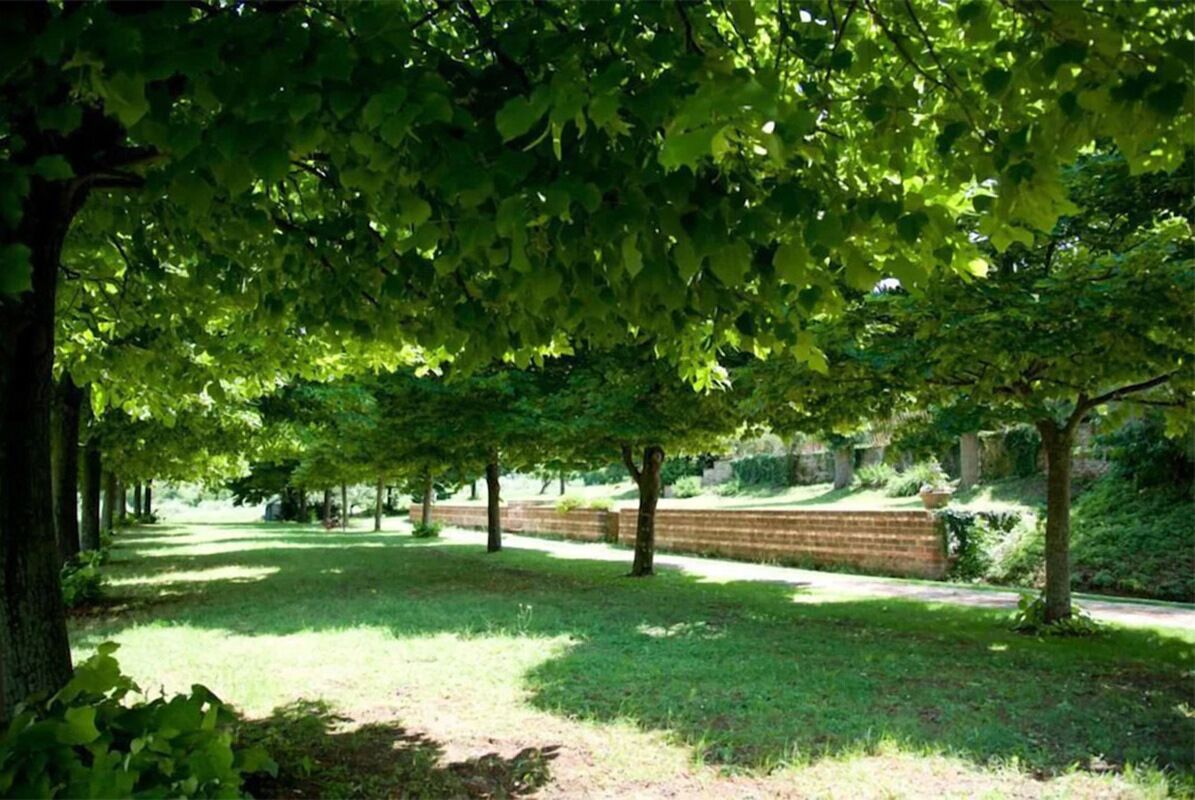 Ein Park mit einer Baumreihe, einer Backsteinmauer und einer Rasenfläche.
