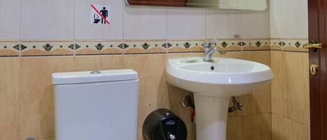 A bathroom with a toilet, sink, and mirror.