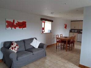 TV, fireplace, DVD player, books