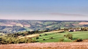 Property grounds - 2: Curlew - Barn Conversion Peaceful Location (Whitby)