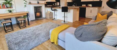 Televisión, chimenea y libros