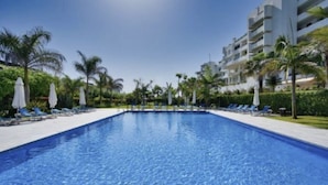 Una piscina con sillas de descanso y sombrillas, rodeada de palmeras y un edificio de varios pisos.