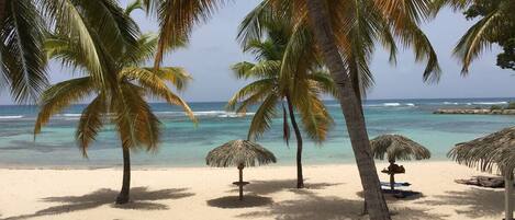 Chaises longues