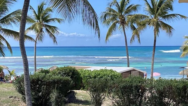A tropical beach scene with palm trees, a clear blue sky, and the ocean. - Anse des Rochers lovely "1,2,3 Soleil" studio with superb sea view. (Saint Francois)