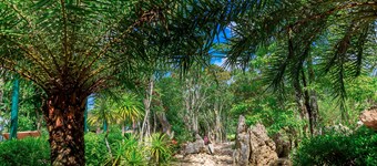 Saline Hot Spring Resort