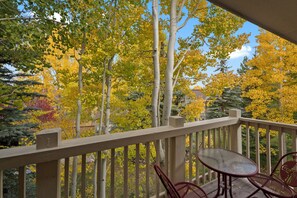 Property grounds - Frisco Condo w/ Private Balcony & Minutes to World-Class Skiing! (Frisco)