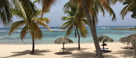 On the beach, sun-loungers