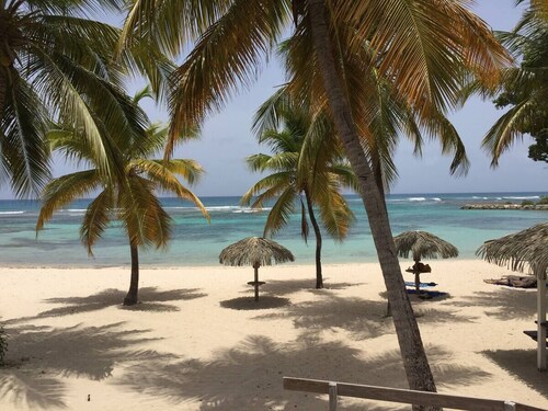 Anse des rochers, very pretty "Bamboo" studio 30 meters from the beach.