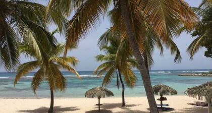 Anse des rochers, trĂšs joli studio "Bamboo" Ă 30 mĂštres de la plage.