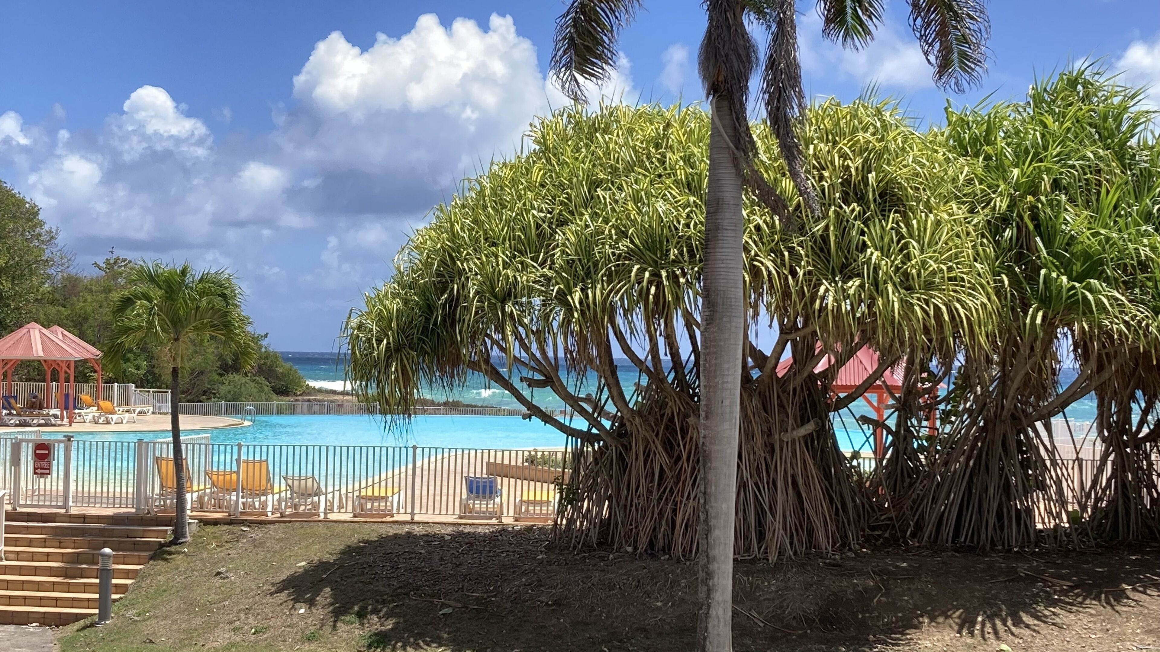 Zona de piscina con vista al océano, rodeada de palmeras y un pabellón.
